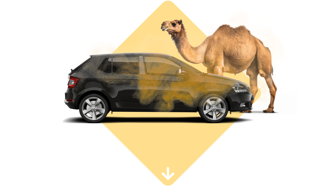 Saharazand: dé tips!